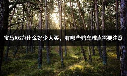 宝马x6为什么好少人买_宝马x6为什么很